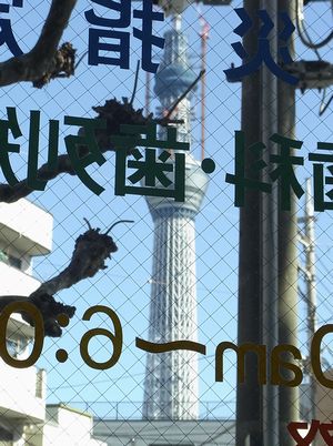 篠塚歯科医院のロビーからスカイツリーも・・